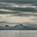 Norvegia 011 1528 come oggetto avanzato-1